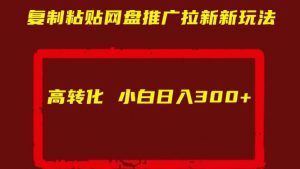 复制粘贴网盘推广拉新新玩法高转化小白日入300+【揭秘】-资源云