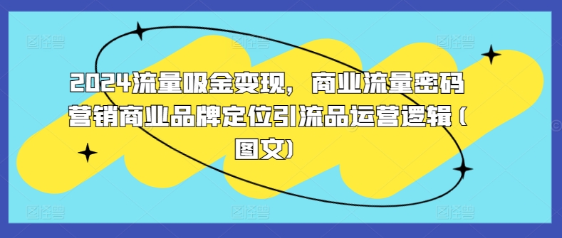 2024流量吸金变现，商业流量密码营销商业品牌定位引流品运营逻辑(图文)-资源云
