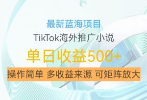 最新蓝海项目,利用tiktok海外推广小说赚钱佣金,简单易学,日入500+,可矩阵放大【揭秘】-资源云