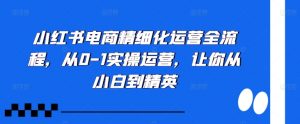 小红书电商精细化运营全流程,从0-1实操运营,让你从小白到精英-资源云