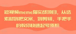短视频meme猫实战项目，从选素材到把文案，到剪辑，手把手的教你快速起号涨粉-资源云
