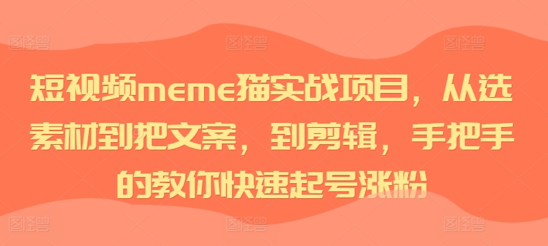 短视频meme猫实战项目，从选素材到把文案，到剪辑，手把手的教你快速起号涨粉-资源云