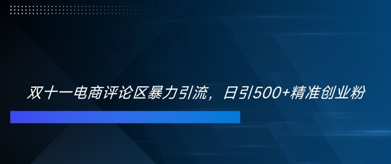 双十一电商评论区暴力引流，日引500+精准创业粉【揭秘】-资源云