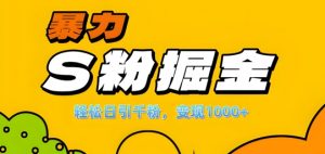 单人单机日引千粉,变现1k+,S粉流量掘金计划攻略【揭秘】-资源云