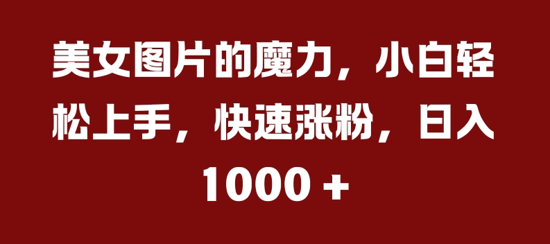 美女图片的魔力，小白轻松上手，快速涨粉，日入几张【揭秘】-资源云