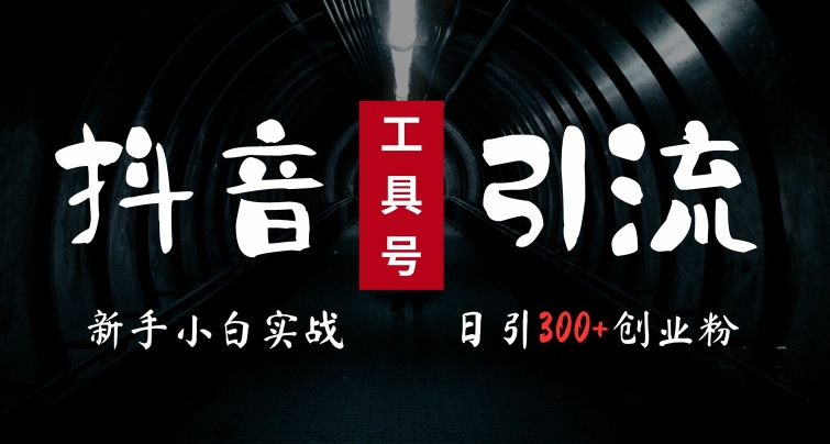 2024最新抖音工具号引流玩法，高效日引300+创业粉，当天变现5k，小白也可成为实战高手-资源云