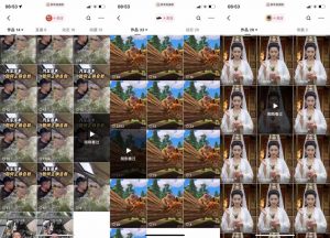 狗熊岭快手连怼技术，好物，涨粉都可以连怼-资源云