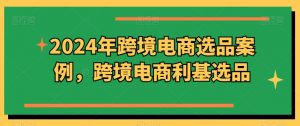 2024年跨境电商选品案例,跨境电商利基选品(更新11月)-资源云
