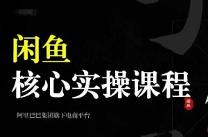 2024闲鱼核心实操课程,从养号、选品、发布、销售,教你做一个出单的闲鱼号-资源云