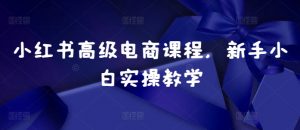 小红书高级电商课程，新手小白实操教学-资源云