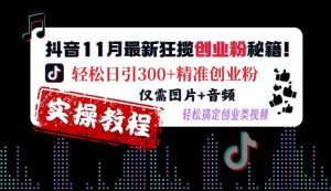 抖音11月最新狂揽创业粉秘籍,轻松日引300+精准创业粉,仅需图片+音频,轻松搞定创业类视频-资源云