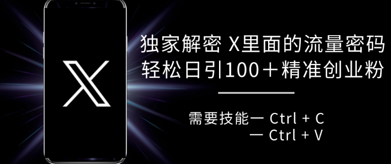独家解密 X 里面的流量密码，复制粘贴轻松日引100+-资源云