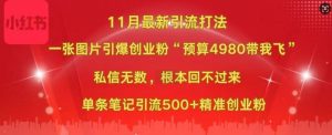 小红书11月最新图片打粉,一张图片引爆创业粉,“预算4980带我飞”,单条引流500+精准创业粉-资源云