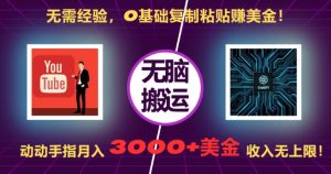 无需经验，0基础复制粘贴赚美刀，动动手指，月入3000+刀，无上限【揭秘】-资源云