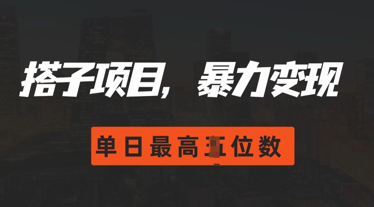 2024搭子玩法，0门槛，暴力变现，单日最高破四位数【揭秘】-资源云