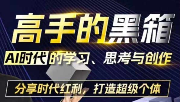 高手的黑箱：AI时代学习、思考与创作-分红时代红利，打造超级个体-资源云