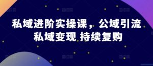 私域进阶实操课,公域引流 私域变现 持续复购-资源云