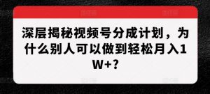 深层揭秘视频号分成计划，为什么别人可以做到轻松月入1W+?-资源云