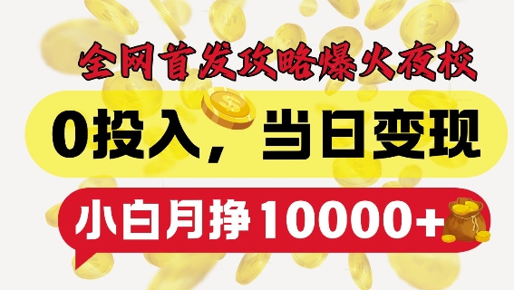 全网首发爆火夜校，0投入，当日变现，小白轻松月入1w+【揭秘】-资源云