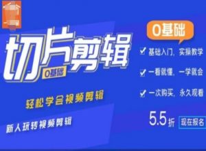 0基础IP切片剪辑,轻松学会视频剪辑,新人玩转视频剪辑-资源云