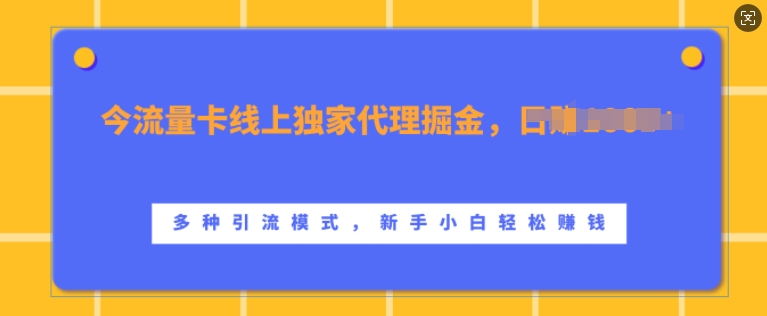 流量卡线上独家代理掘金，日入1k+ ，多种引流模式，新手小白轻松上手【揭秘】-资源云