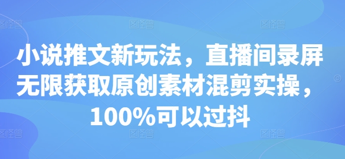 小说推文新玩法，直播间录屏无限获取原创素材混剪实操，100%可以过抖-资源云