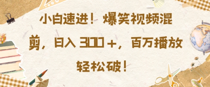 小白速进，爆笑视频混剪，日入3张，百万播放轻松破【揭秘】-资源云