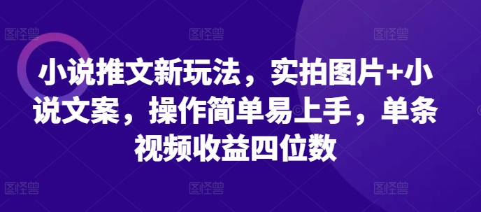小说推文新玩法，实拍图片+小说文案，操作简单易上手，单条视频收益四位数-资源云