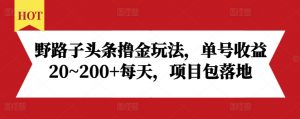 野路子头条撸金玩法,单号收益20~200+每天,项目包落地-资源云