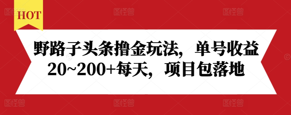 野路子头条撸金玩法，单号收益20~200+每天，项目包落地-资源云