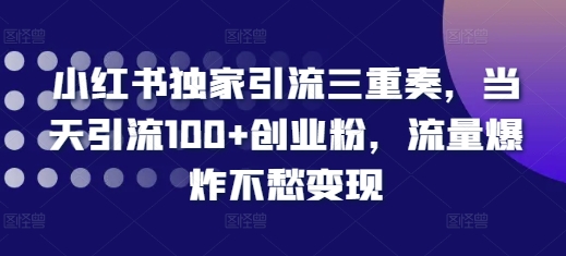 小红书独家引流三重奏，当天引流100+创业粉，流量爆炸不愁变现【揭秘】-资源云