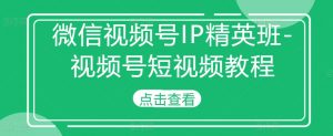 微信视频号IP精英班-视频号短视频教程-资源云