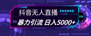 抖音快手视频号全平台通用无人直播引流法，利用图片模板和语音话术，暴力日引流100+创业粉【揭秘】-资源云