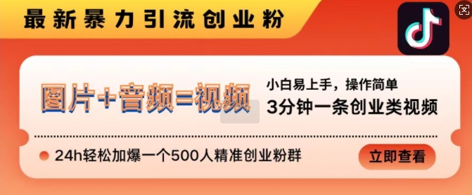 抖音最新暴力引流创业粉，3分钟一条创业类视频，24h轻松加爆一个500人精准创业粉群【揭秘】-资源云