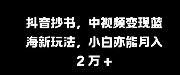 抖音抄书，中视频变现蓝海新玩法，小白亦能月入 过W【揭秘】-资源云