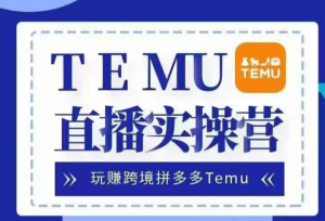 Temu直播实战营,玩赚跨境拼多多Temu,国内电商卷就出海赚美金-资源云