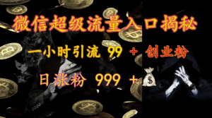 微信超级流量入口揭秘：一小时引流 99 + 创业粉，日涨粉 999 +-资源云