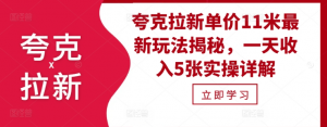 夸克拉新单价11米最新玩法揭秘,一天收入5张实操详解-资源云