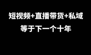 短视频+直播带货+私域等于下一个十年,大佬7年实战经验总结-资源云