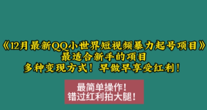 12月最新QQ小世界短视频暴力起号项目，最适合新手的项目，多种变现方式-资源云