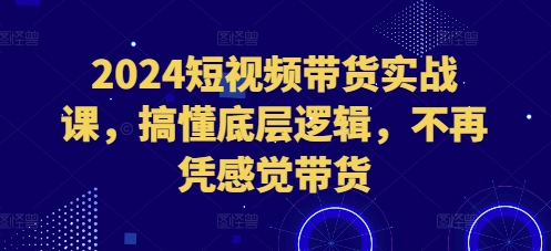 2024短视频带货实战课，搞懂底层逻辑，不再凭感觉带货-资源云