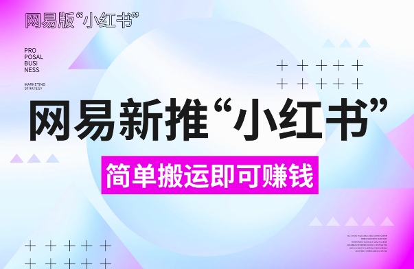 网易官方新推“小红书”，搬运即有收益，新手小白千万别错过(附详细教程)【揭秘】-资源云