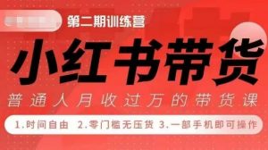 小Red书带货42天训练营 2.0版,宝妈+自由职+上班族+大学生,提高副业收入的大红利项目-资源云