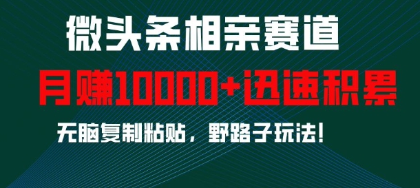微头条相亲赛道，迅速积累，无脑复制粘贴，野路子玩法，月入1w-资源云