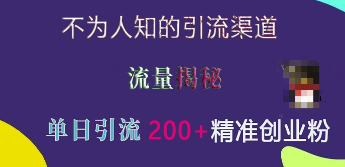 不为人知的引流渠道，流量揭秘，实测单日引流200+精准创业粉【揭秘】-资源云