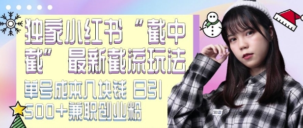 最新小红书截流玩法 独家截中截 单号成本几块钱 日引500+CY粉JZ粉-资源云