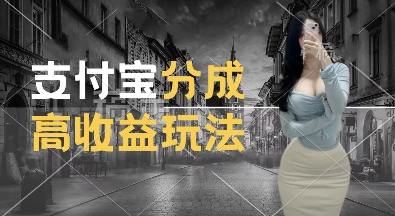 支付宝分成计划新玩法，利用交通事故视频，赚收益，轻松月入过W，操作简单【揭秘】-资源云
