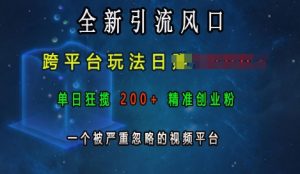 全新引流风口，跨平台玩法日入上k，单日狂揽200+精准创业粉，一个被严重忽略的视频平台-资源云