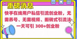 快手最新引流创业粉方法,无需养号、无需视频、搬砖式引流法【揭秘】-资源云