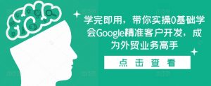 学完即用,带你实操0基础学会Google精准客户开发,成为外贸业务高手-资源云